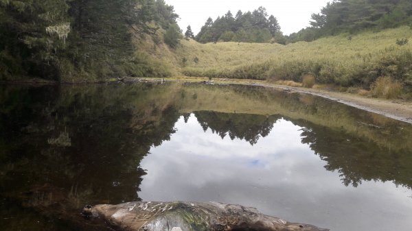 楓之谷~天巒池~武法奈尾山497575