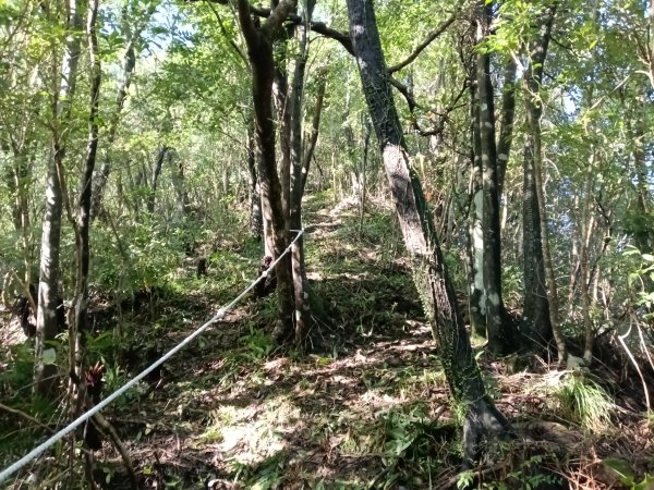 雙溪區雙坪一號橋+盤山坑山+土地公山+474峰+石硿子越嶺古道O型2936397