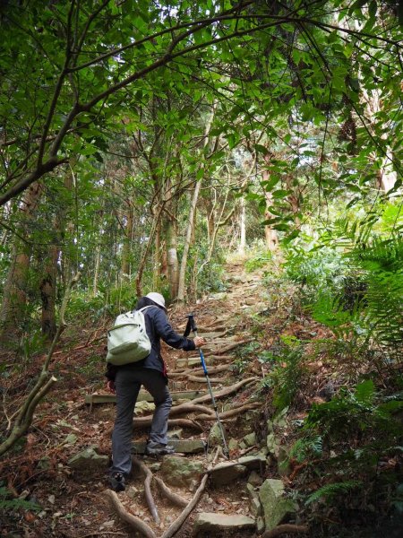 台中鳶嘴西稜上長壽山1860峰2019539429
