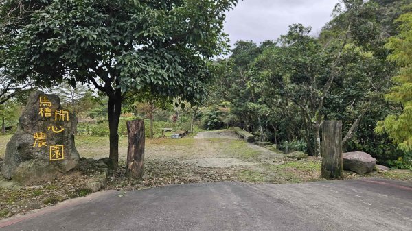 20251128玉瀧谷(竹子湖南)-東昇路碉堡-後山-湖田後山梯田(騎車爬山)2948395