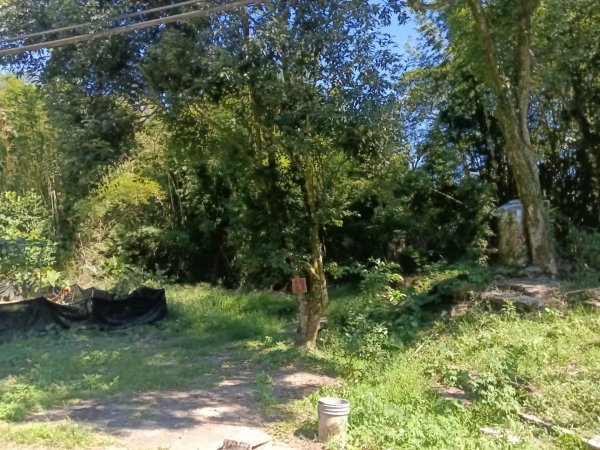 坪林區南闊瀨行(枋山坑古道+枋山坑崙+闊瀨越嶺保甲路O型)2916785