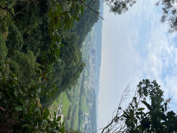 20231024_新竹飛龍健行步道（森遊竹縣）2762918