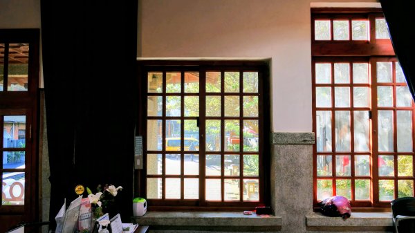 落羽松大道,龍潭大池2976227