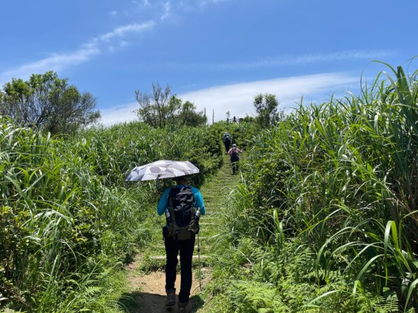 1140531姜子寮山。泰安瀑布。潮境公園2800963