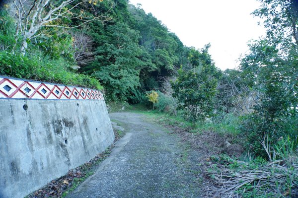 桃園 復興 牌子山、金平山2952195