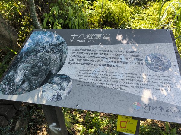 20250913微笑山線：【天上山系】望月亭桐花段2883406