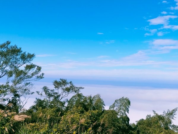 雲嘉連峰2365695