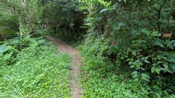 114.06.21大竹坑山-小粗坑山-石門山之旅2818858