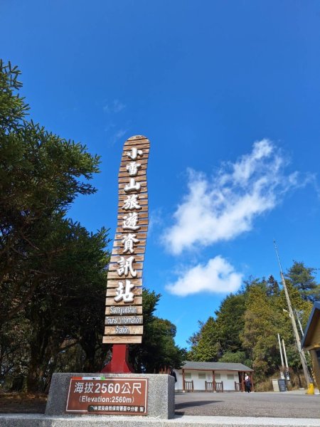 朝聖台灣最大神木之首-大安溪神木2704487