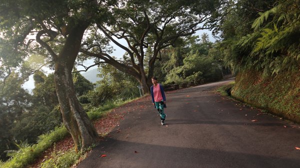 貓囒山登山健行趣(小百岳49號)2268438