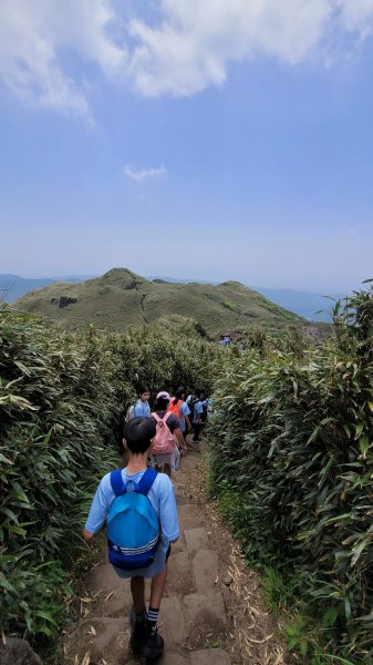 七星山主東峰登高望遠2117065