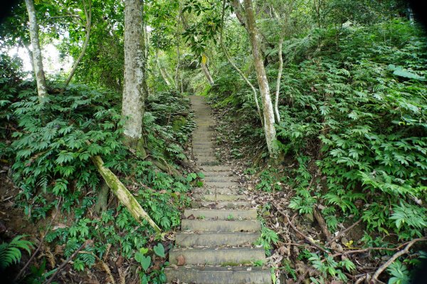 台中 和平 埋伏坪山2924975