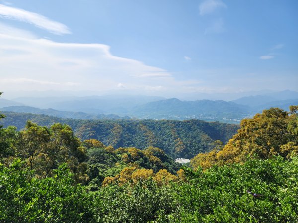 新竹芎林｜飛鳳山×石壁潭山｜飛石步道南線下切至觀日坪古道1800m入口3045969