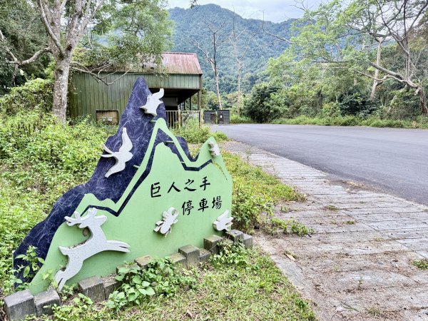 雪山坑步道悠遊順訪雪山坑山(再訪)  2025.12.32953724