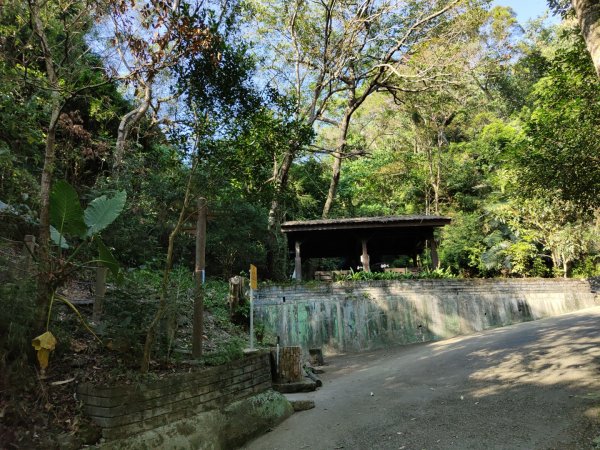 2023.11.15 新田登山步道登聚興山2494834