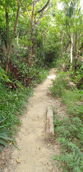 劍潭山小百岳1772421