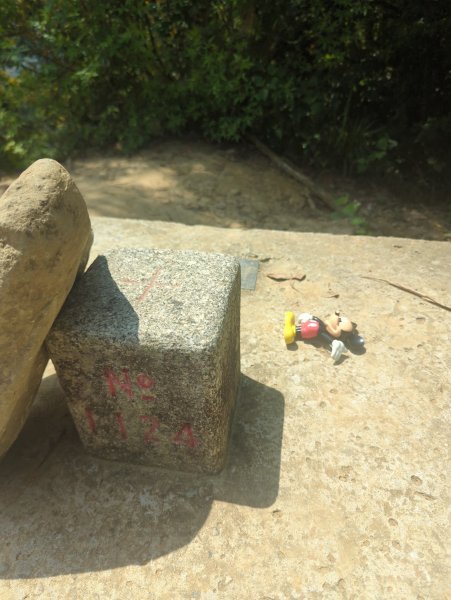 2026.05.02－聚興山步道3045917