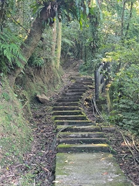 20251010微笑山線：【五分山系】平溪小黃山段 - 健行筆記2910167