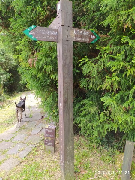 七星山系 夢幻湖步道1096503