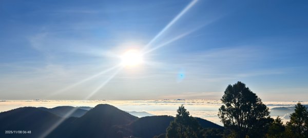 #太平山 #望洋山 #觀雲步道 #日出 #雲海 11/82931179