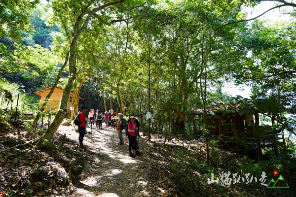 司馬庫斯神木群步道1377338