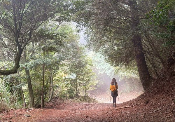雪霸國家公園 雪見遊憩區 東洗水山2928561