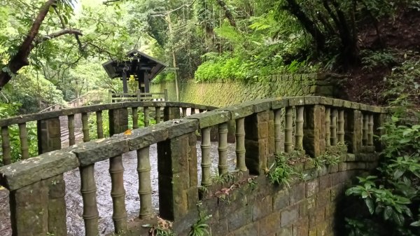 信義區虎山溪步道-岩刻佛像岩下路-四獸山步道-拇指山-南港山-九五峰-麗山橋口步道3076160