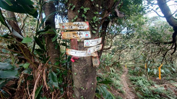 基隆東西天際線縱走(微加強版)2695554