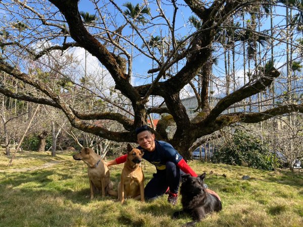 風櫃斗.牛稠坑.二坪山古道【遙知不是雪，為有暗香來】2703879