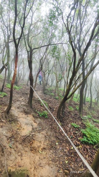 劍龍稜初體驗2431324