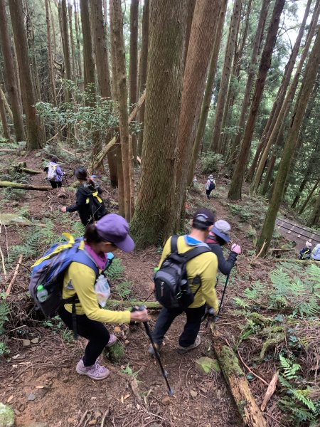 20250517義義兒玉山-東水山2791719