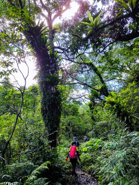2025-06-15 銀河洞越嶺登山步道2816183