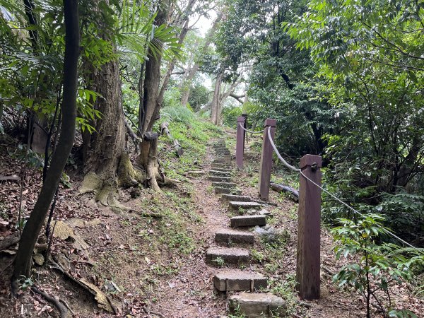 [微笑山線_第三段] 2025_0720 鳶山山系_鳶尾山2843653