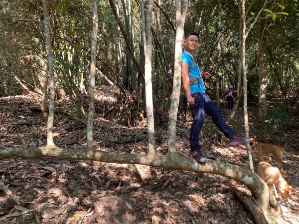 六龜美輪山【享受簡單純粹的登山樂趣】2415566