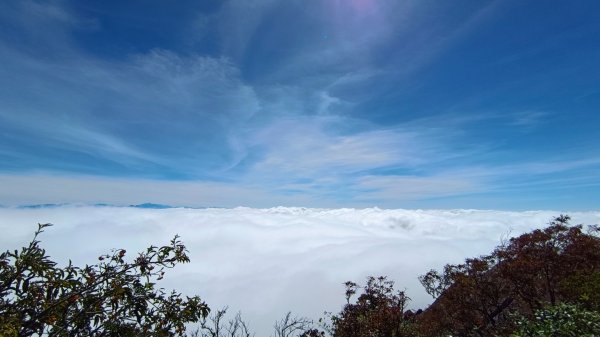 鳶嘴山美呆了~滿滿的雲海~1884281