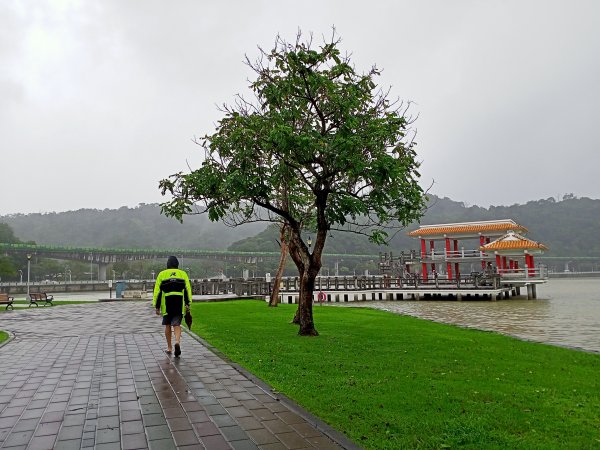 內湖大港墘公園、大湖公園 (防災公園) 【走路趣尋寶】1896629