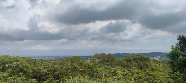 五酒桶山步道2789566