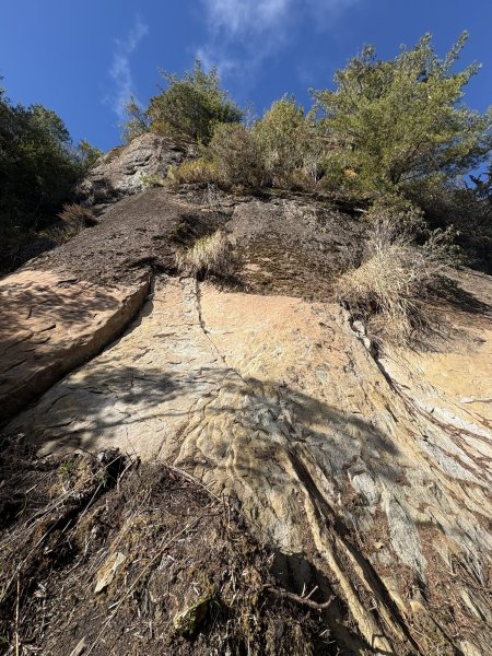 20251225塔山步道(大塔山)2970407