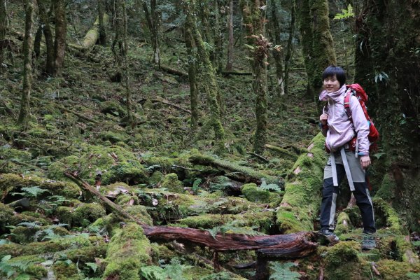 2020-12-12 八仙山1216301