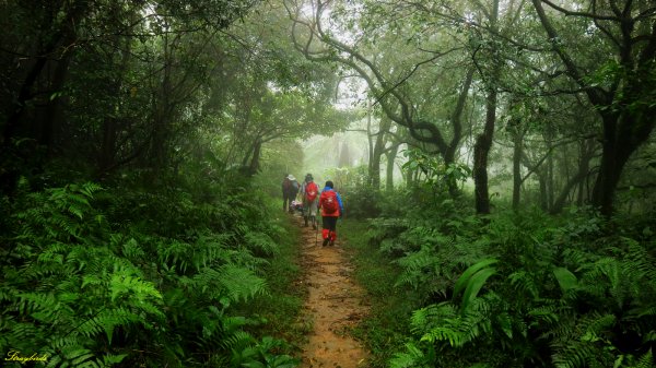 淡蘭古道深度旅遊~尋找古道上珍貴歷史遺跡754509