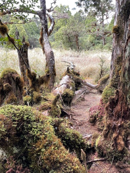 魔幻森林三星山與三星池1658330