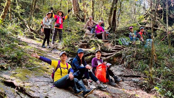 🌈3/14（六）赫威神木群+赫威山✨FB：熊熊趴爬走🌈3015383