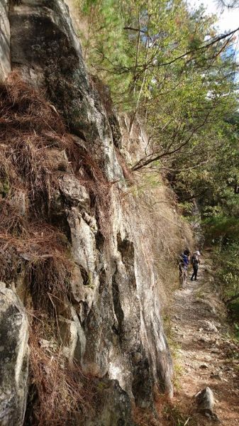 谷關七雄—東卯山20171203220863