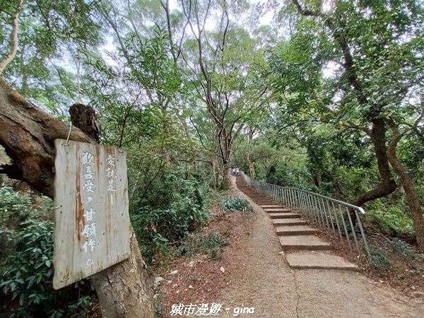 【彰化田中】蓊鬱森林有點陡。 田中森林登山步道1925568