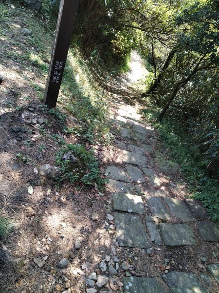 【臺北大縱走第二段】小油坑至二子坪完成1263068