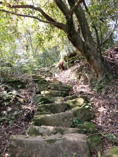 五指山古道+友蚋山南峰2757030