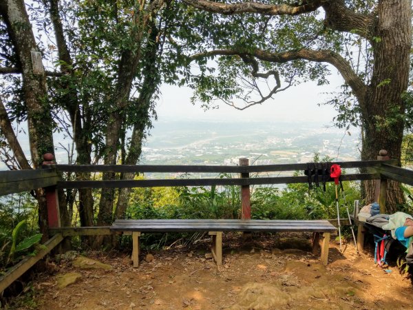 桃園新溪頭縱走-新溪洲山、溪洲山、頭寮山887960