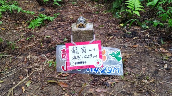 龍虎雙碑縱走2989651