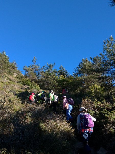 【南投縣仁愛鄉】合歡群峰2天1夜(下)1028143