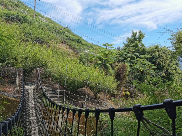 梨山希利克步道-泰雅族占卜靈鳥-繡眼畫眉1049509